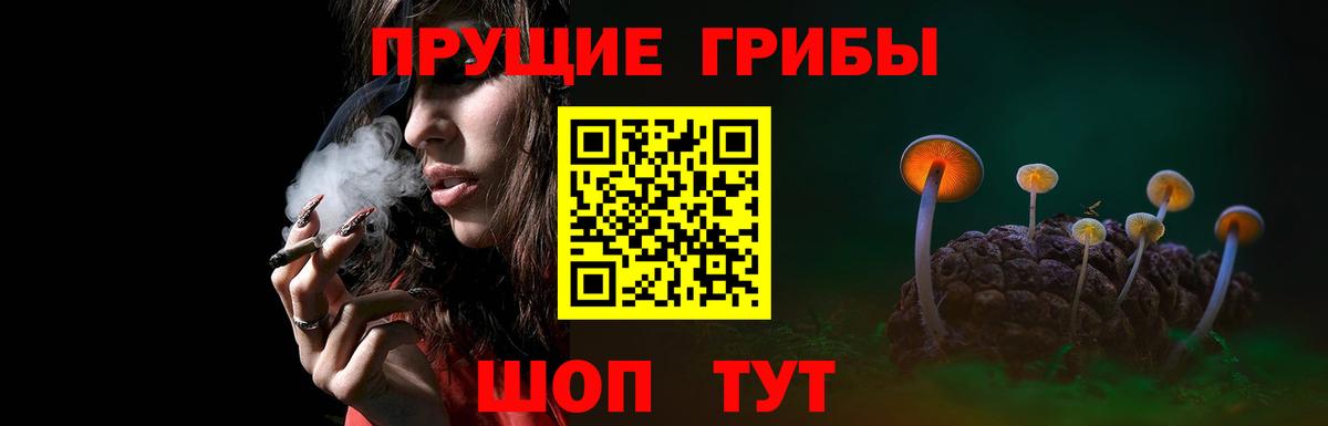Элиста  Галлюциногенные грибы GOLDEN TEACHER  Вход с VPN 